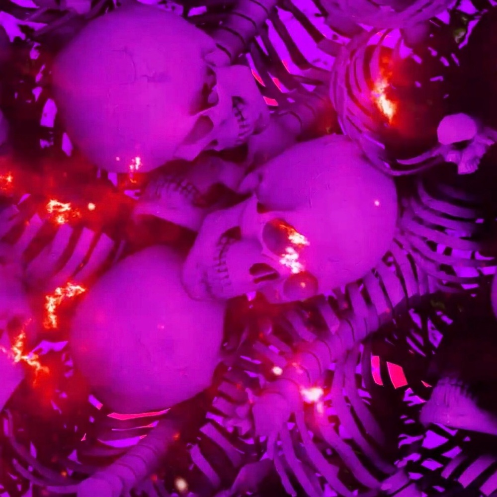 Meet your Posher, Jaidus